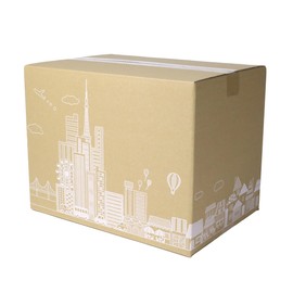Earth Cardboard, 100 Size, Set of 40, Design Cardboard Boxes, 100, B4, ID0363