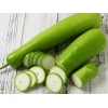 Sunshine Master Calabash Bottle Gourd Seeds Med-Long Edible Lauki Dudhi