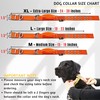 ADITYNA Heavy Duty Dog Collar for Extra-Large Dogs - Reflective