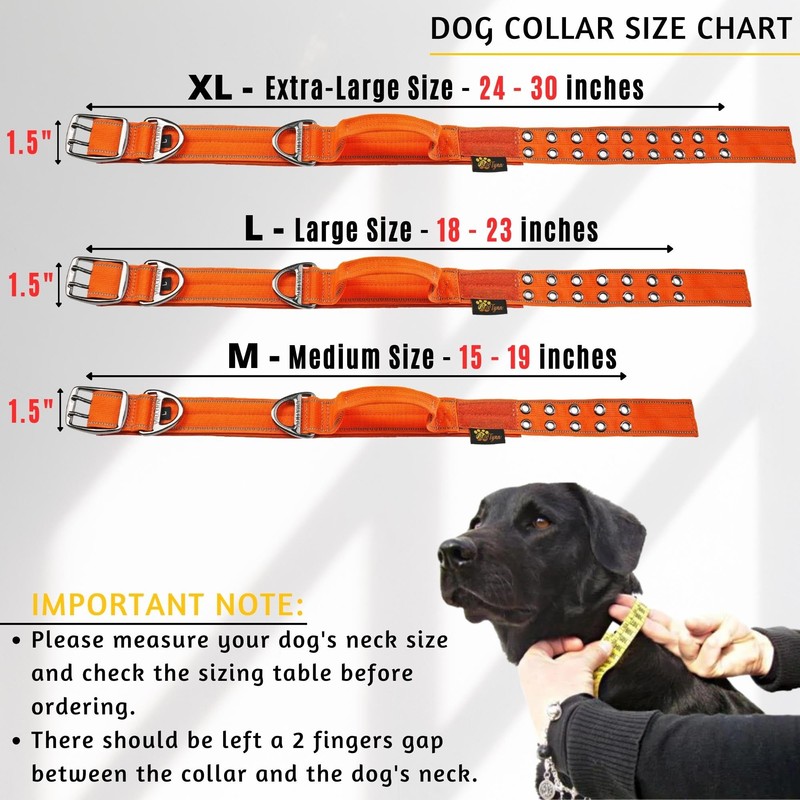 ADITYNA Heavy Duty Dog Collar for Extra-Large Dogs - Reflective