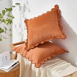 MONDAY MOOSE - Juego de 2 fundas de cojín decorativas de terciopelo suave, diseño de borde redondo festoneado, mezcla y combina para decoración del hogar, rellenos de almohada no incluidos (16 x 16