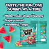 ChewzMe Watermelon Gummies, Sour Gummy Candy, 6 oz (Pack of