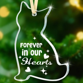 Sensi Blue Cat Memorial Gifts, Loss of Pet Sympathy Gift, Glass Christmas Ornament, Forever In Our Hearts Keepsake, Rainbow Bridge Bereavement Remembrance, Clear Feline Lover Decor, Grieving Cat Lover