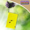 Bonide Bonide Bug Beater Stink Bug Trap, Attracts and Catches