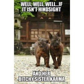 Funny Cat  refrigerator magnet 3 1/2x 4 1/2" Made in the USA