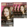 Ryeo Uachae Stylish Gray Gray Cream Hair Dye 7N Light Brown 4pcs / 려 우아채 멋내기 새치 크림 염색약 7N 밝은갈색 4개