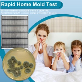 Mold Test Kit for Home- DIY Mold Detector for Home, 3 at Home Mold Air Test Kits - Test HVAC、 Home Surfaces、Indoor Air Quality, Easy Black Mold Testing Kit Includes Detailed Mold Identification Guide