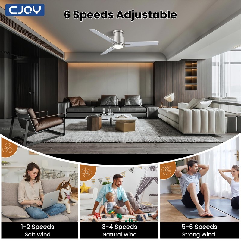 CJOY Ceiling Fan with Lights, 52 Inch Low Profile Ceiling