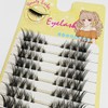 Fox Eye Artificial Eyelashes Natural Wispy Individual Lashes, 3D-C-6~13 mm