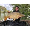 Tandem Baits Method Feeder Fluo Pop-Up Micro Chunks Monster Halibut,