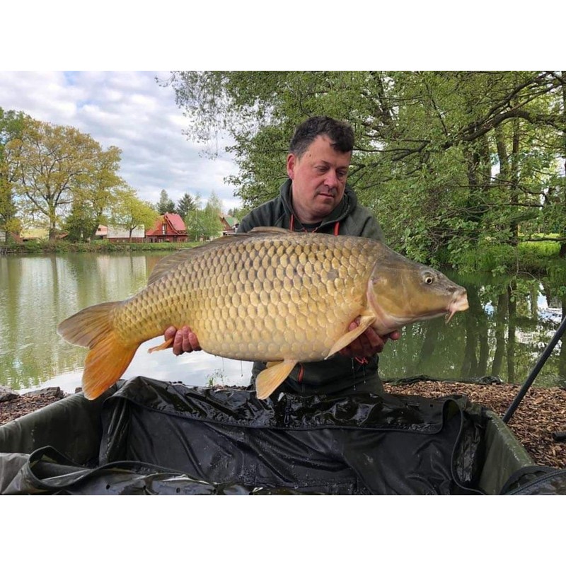 Tandem Baits Method Feeder Fluo Pop-Up Micro Chunks Monster Halibut,
