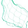 Garden Plant Trellis Netting Green Trellis Netting Polypropylene Plant Support