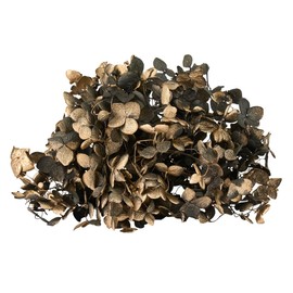 東北花材 プリザーブドフラワー FMソフトアナベル キャンディBOX BOXサイズ□8×H8cm 1輪入 DT080787-zzz