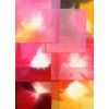 Flower Color 4 Corner Blur Dye 20 Pattern Set