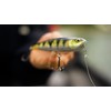Rapala - Precision bait precision Xtreme pencil plastic construction -