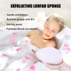 Natural Loofah Sponge Exfoliating Body Scrubber, Made of Natural Biodegradable