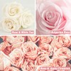 ESSLUX Fragrance Oil, ESSLUX Rose and Fruits Collections Scented Oils,