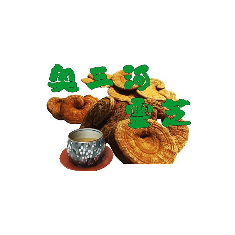 濃い霊芝 (れいし レイシ）苦い濃厚な品種だけをつめました 400g（80ｇ×5）きのこの石原産業