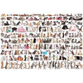 EuroGraphics The World of Cats Puzzle (2000-Piece) (8220-0580)