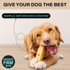 EMINENT PAW Yak Cheese Chews for Dogs arge Chew 6-7