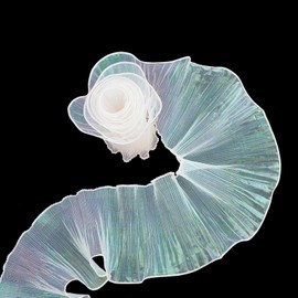 NICENEEDED 5 Yard Ruffled Lace Trim, Organza Lace Edge Gather Ruffle Trim Ribbon, Pleated Satin Ruffled Fabric Chiffon Tulle Ruffle Lace Border for Sewing