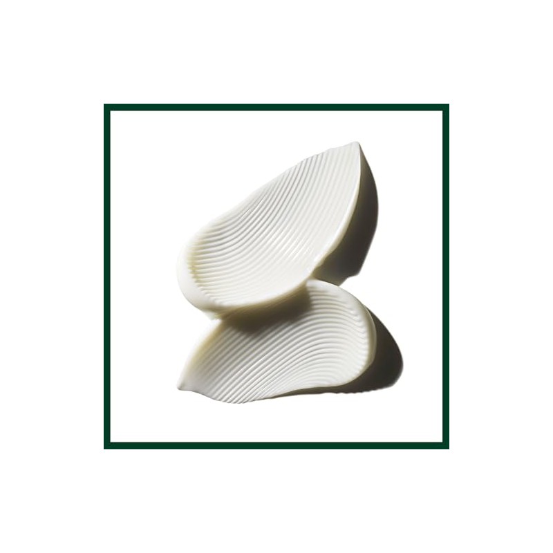 Aveda Color Control Acondicionador | Nutre, Suaviza y Sella