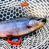 Lucky Craft Deep Craft SFT Single Hook Tail [4] GB