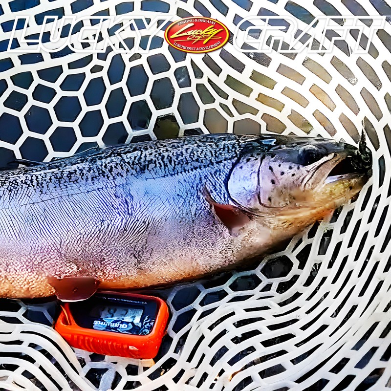 Lucky Craft Deep Craft SFT Single Hook Tail [4] GB