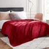 EHEYCIGA Fleece Blanket Red Throws for Sofas Fluffy Warm Soft