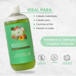 Shampoo Con 10 Extractos Naturales Anti-Caida Productos Mart Mexico 500 Ml