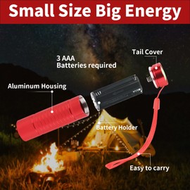 Hilngav 6 Pack Red Light LED Flashlight Mini, Red Flashlight Red Torch for Astronomy, Aviation, Night Observation and Animal Observation