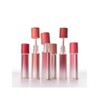 Espoir Couture Lip Tint Fitting Blur / 에스쁘아 꾸뛰르 립틴트