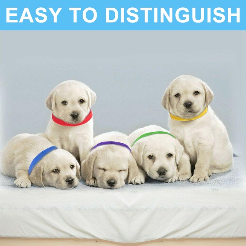 15Pcs Assorted Puppy Collars - Adjustable Kitten Collar for Whelping