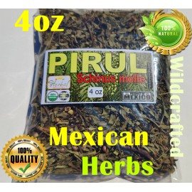 4oz Pirul Hierba Schinus molle false pepper tree California Peruvian pepper tree
