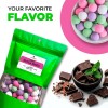 WOODCHA Dutch Mints Candy, Chocolate Covered Mints, Holland Candy, Party