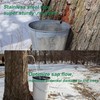 ARGCONNER Stainless Steel Maple Syrup Taps Kit, Spiles for Tapping