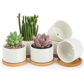 ZOUTOG Ceramic Succulent Pots,4 Inch Plant Pots,Succulent Planters with Drainage Hole & Bamboo Tray for Indoor Plants,White Small Flower Planters for Home,Office,Desk(6 Pack)