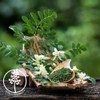 Moringa Powder Moringa Leaf Powder Powder 250g Moringa Powder Powder