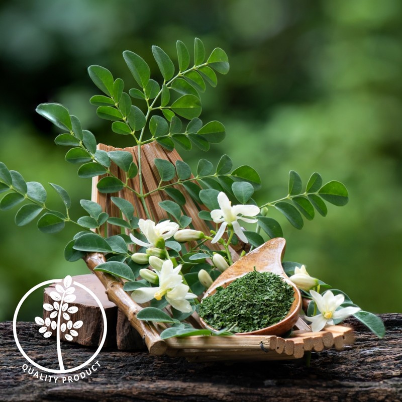 Moringa Powder Moringa Leaf Powder Powder 250g Moringa Powder Powder