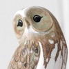 Wood Barn Owl Pair on Driftwood Base 16x25x9cm Decorative Ornament
