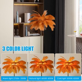 Ostrich Feather Floor Lamp,Modern Standing Lamp 3 Color Dimmable with Foot Switch,Fringe lamp Gold Feather Floor Lamp All Copper lamp Body,Floor Lamp for Dining Room