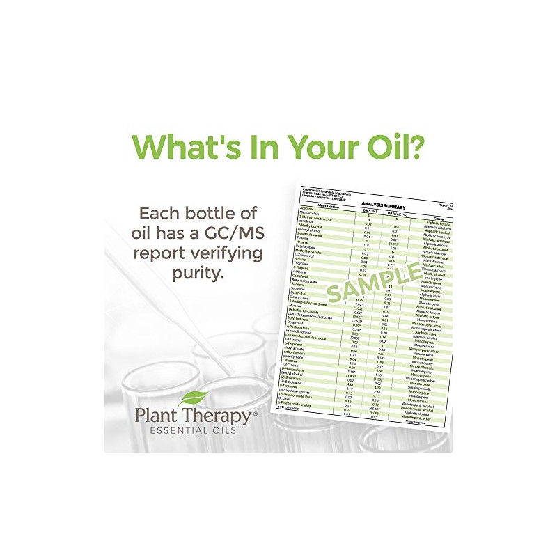 Plant Therapy Chakra 7 Higher Connection (Crown Chakra) Essential Oil