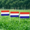 Netherlands Flag Holland Dutch Small Stick Mini Hand Held Flags