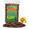 GARDENERA Premium Citrus Tree Potting Soil Mix - 3 QUART