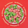 Watermelon Slices Gummy Candy, 1-Pound Pack