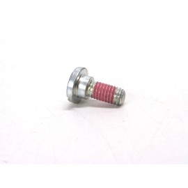 SCREW NOS! STIHL PAWL SCREW, 00009512902