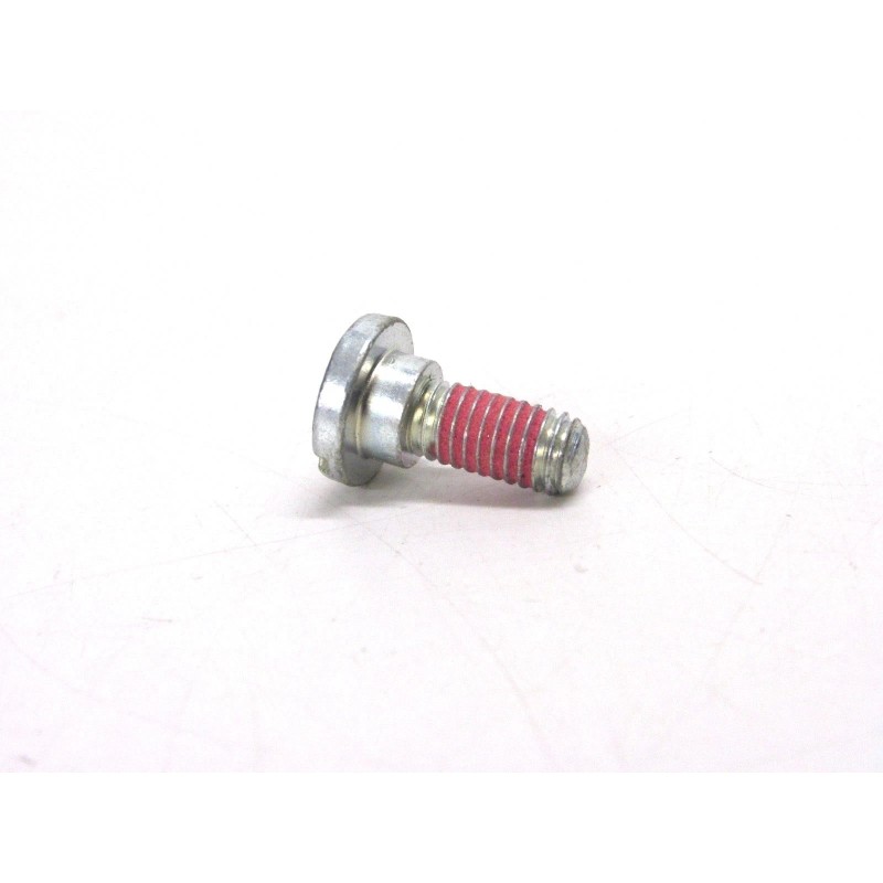SCREW NOS! STIHL PAWL SCREW, 00009512902