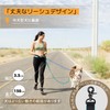JC HOUSE 5218 Leash for Medium Dogs, Large Dogs, Running