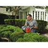 Black & Decker TR116 3-Amp Hedge Trimmer, 16-Inch