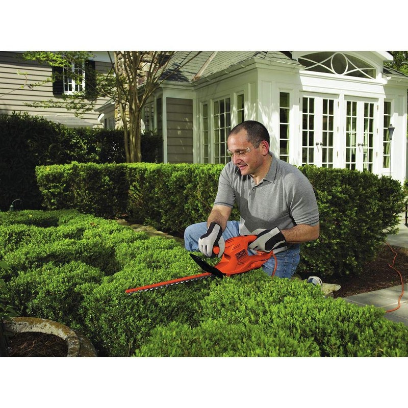 Black & Decker TR116 3-Amp Hedge Trimmer, 16-Inch